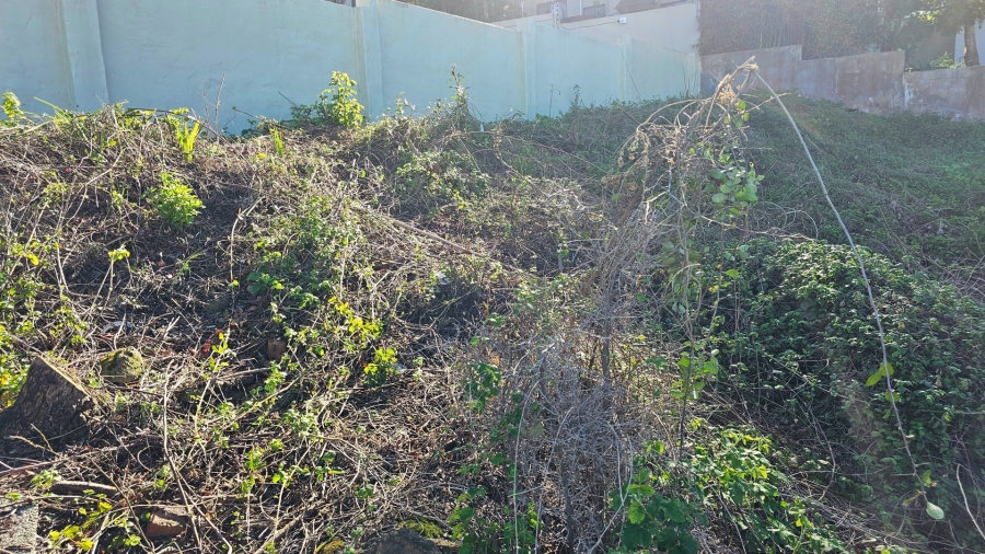 0 Bedroom Property for Sale in Outeniqua Strand Western Cape